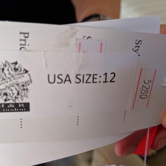 New - Hearts & Roses Dress sz.12 - Picture 4 of 5